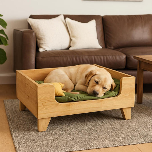 Cozy Dog Bed Plan PDF | Modern Raised Frame, Pet-Friendly Wood, Easy Build